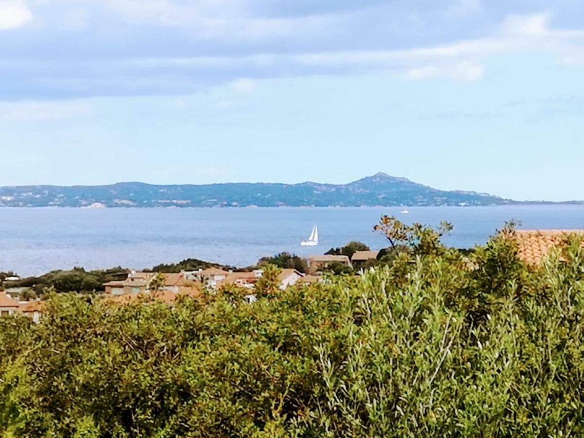 Geco Di Giada Art Suites - Adult Only Porto Rotondo Exteriér fotografie